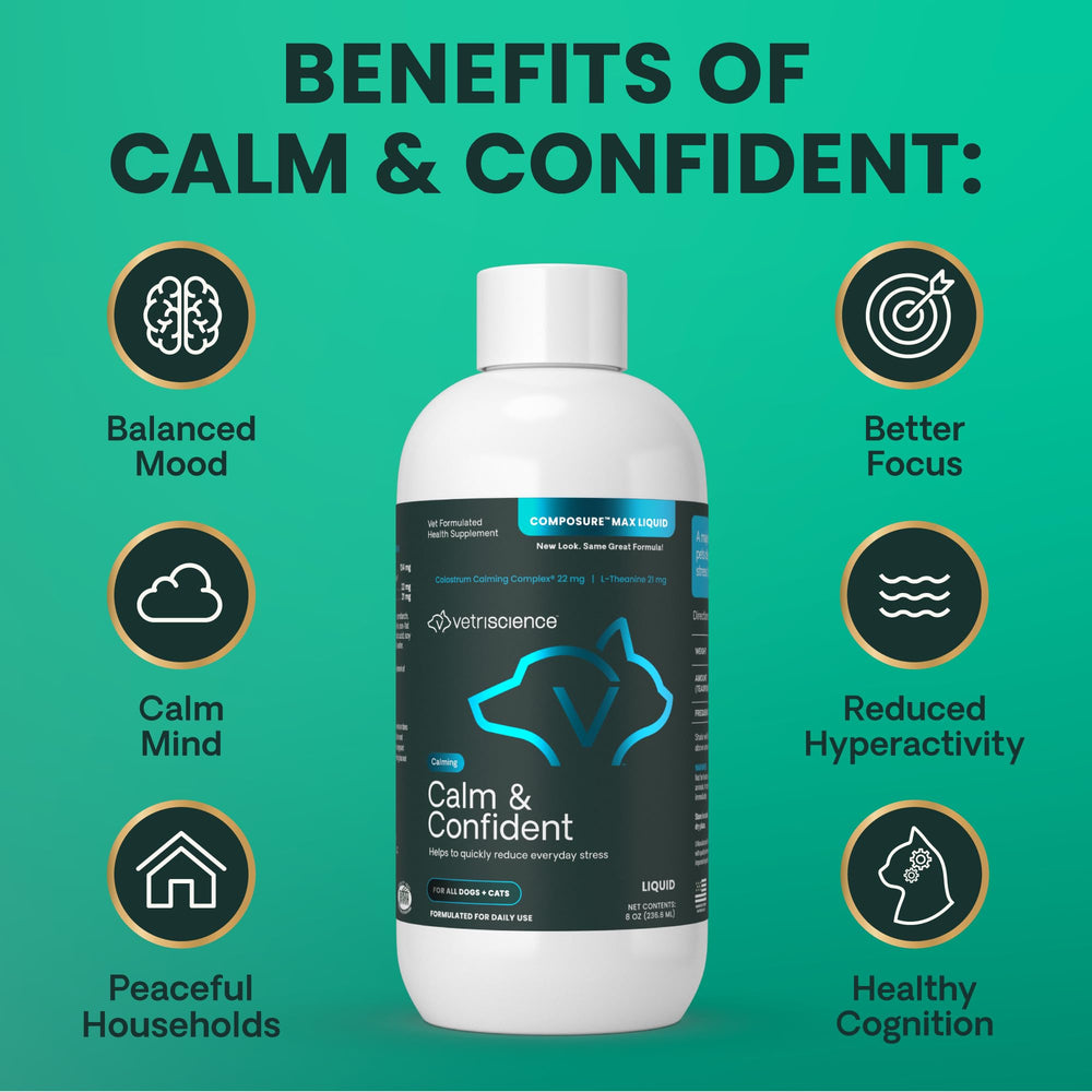 Tempête induisant du stress, VetriScience Calm & Confiant peut aider les animaux.