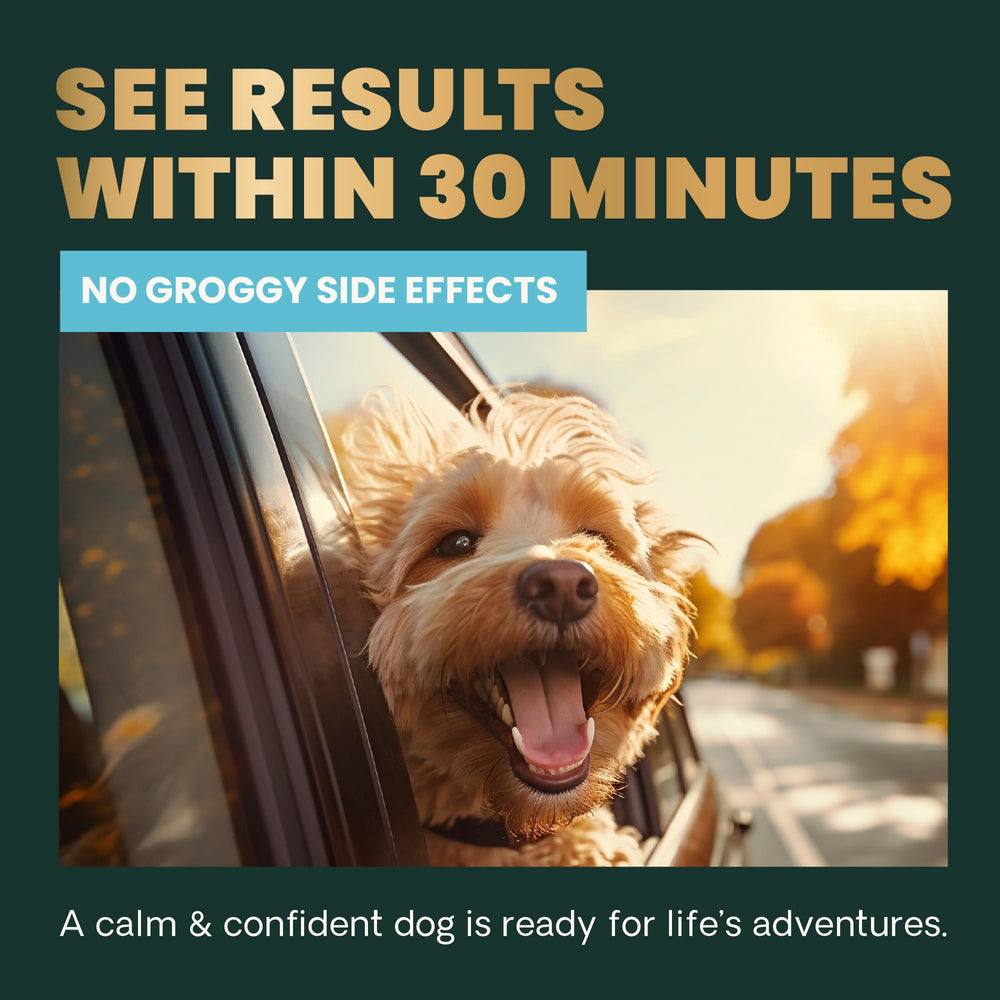 VetriScience Calm & Confident, orage illustré, aide potentielle pendant les tempêtes.