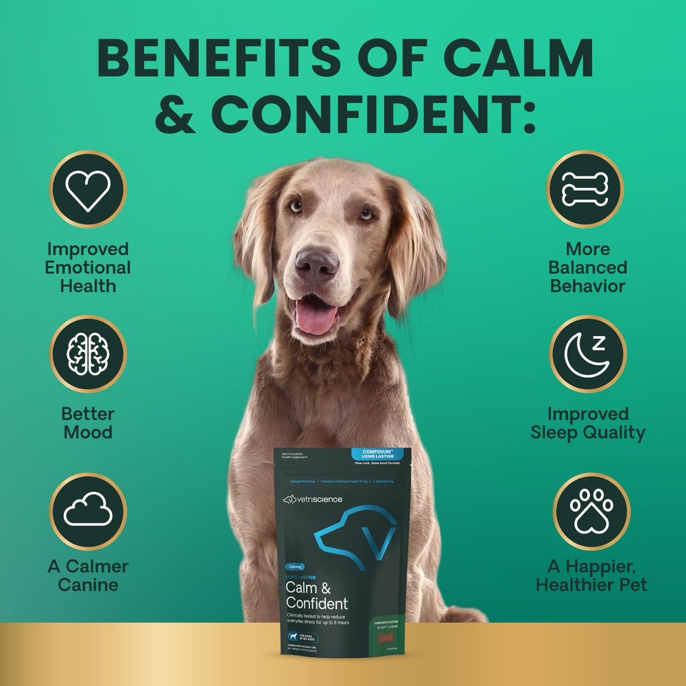 VETRISCIENCE Calm & Confident : ashwagandha pour réduction du stress chez le chien.