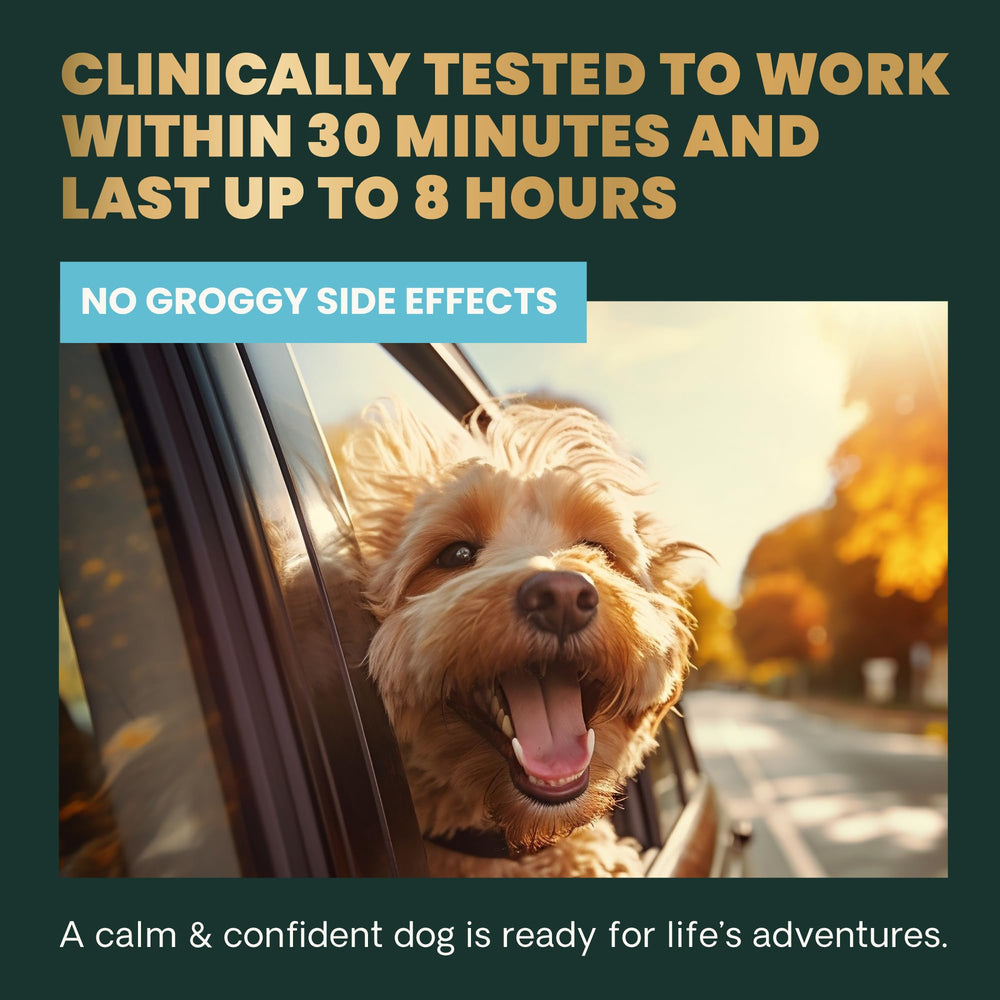 VETRISCIENCE Calm & Confident : mélange de colostrum pour soutien cognitif et réduction du stress.