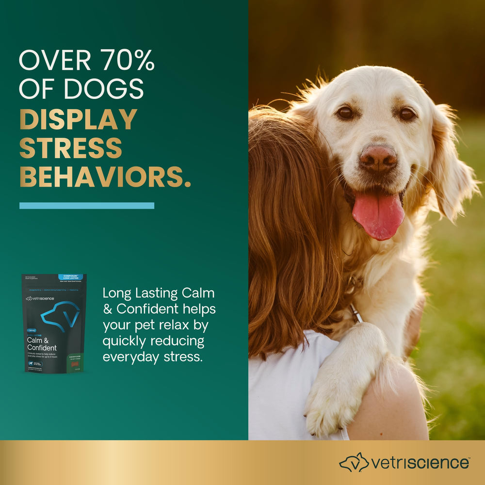 VETRISCIENCE Calm & Confident : solution sans sédation pour chiens anxieux, usage ponctuel.