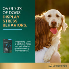 VETRISCIENCE Calm & Confident : solution sans sédation pour chiens anxieux, usage ponctuel.