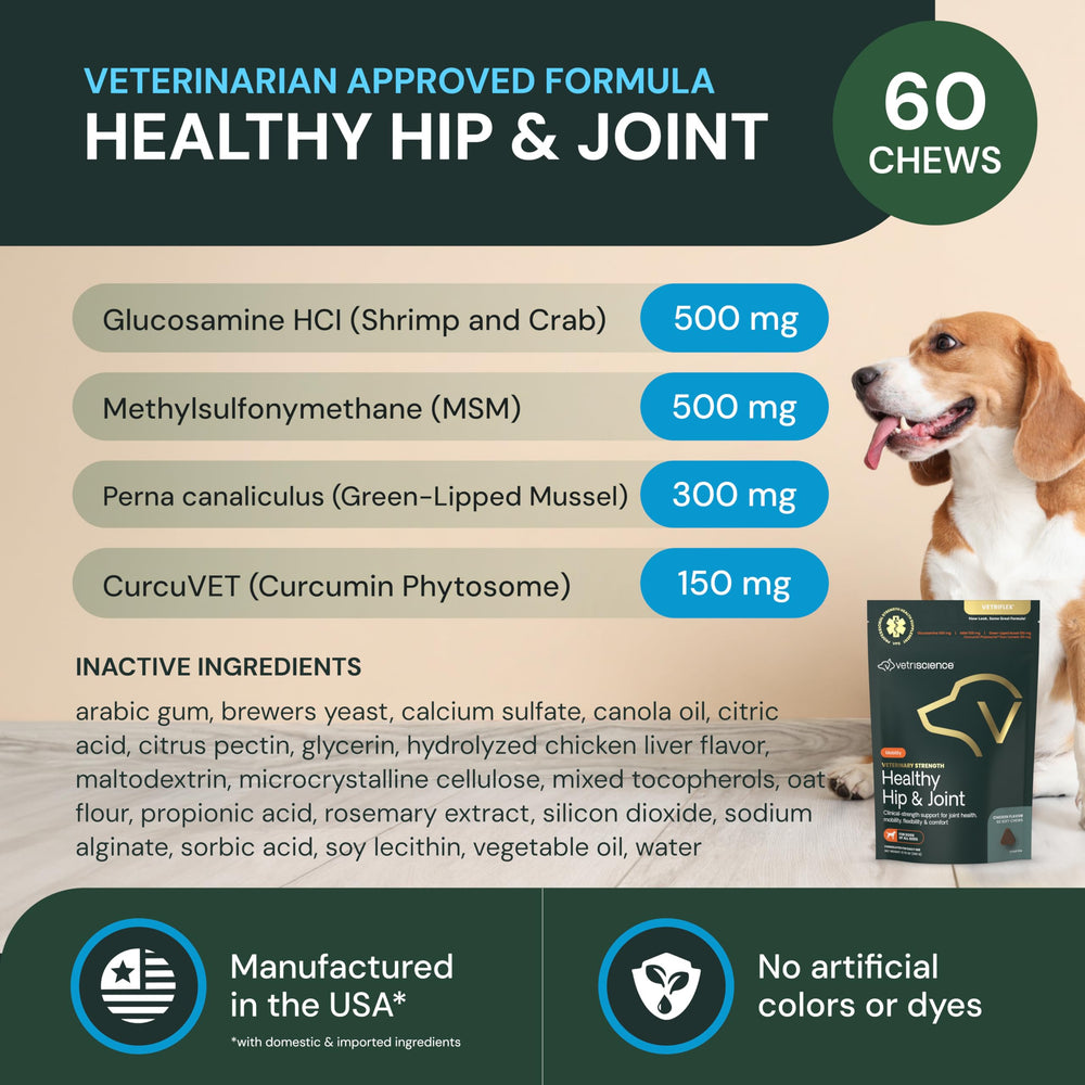 VETRISCIENCE Chien utilisant friandises articulation hanche pour mobilité douce et confort.