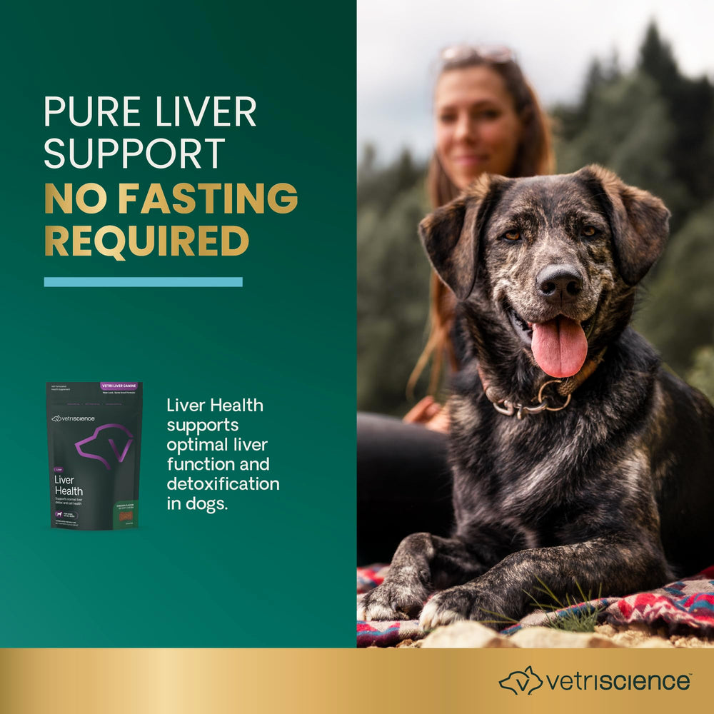 VETRISCIENCE Curcuma – friquettes anti-inflammatoires pour le foie.