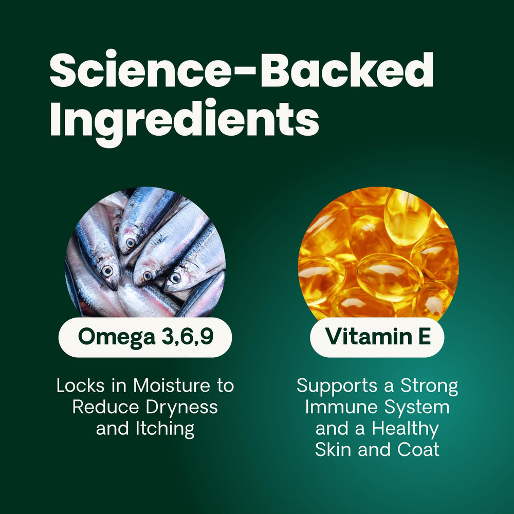 VetriScience Derma Strength: ingrédients au saumon et huile de carthame, soutien pelage.