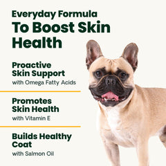 VetriScience Derma Strength: étiquette et ingrédients, contient vitamine E.