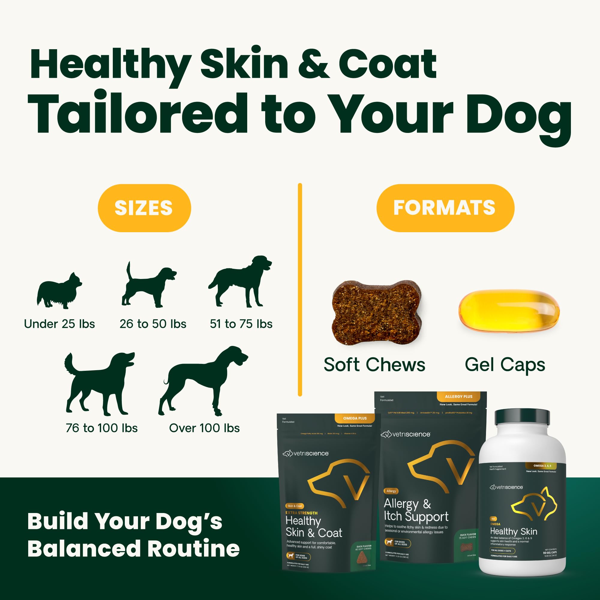 VetriScience Derma Strength: chien près du bol, friandise saine.