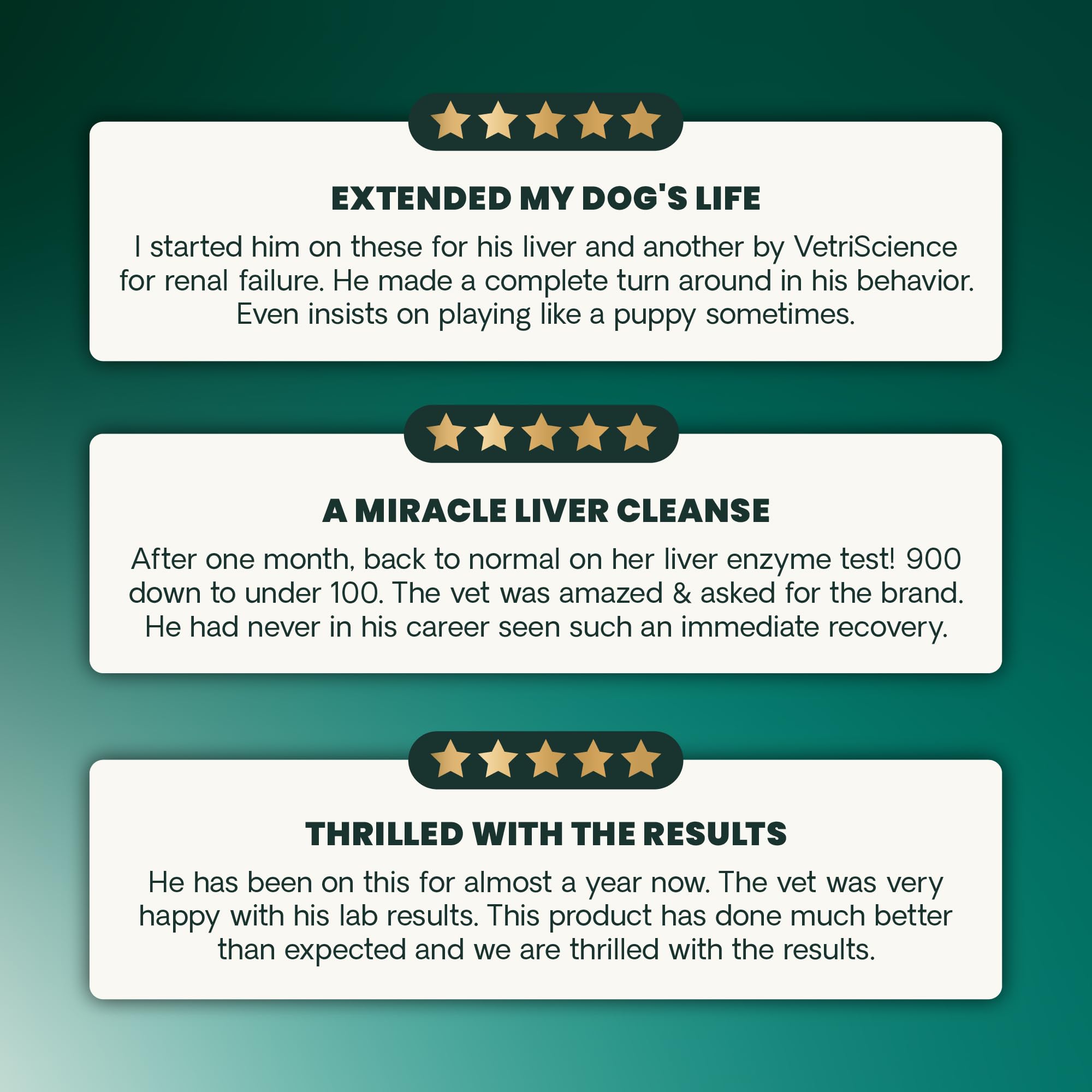 VETRISCIENCE Equilibre foie – friquettes favorisant le bien-être quotidien du chien.
