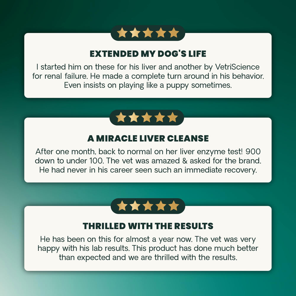 VETRISCIENCE Equilibre foie – friquettes favorisant le bien-être quotidien du chien.