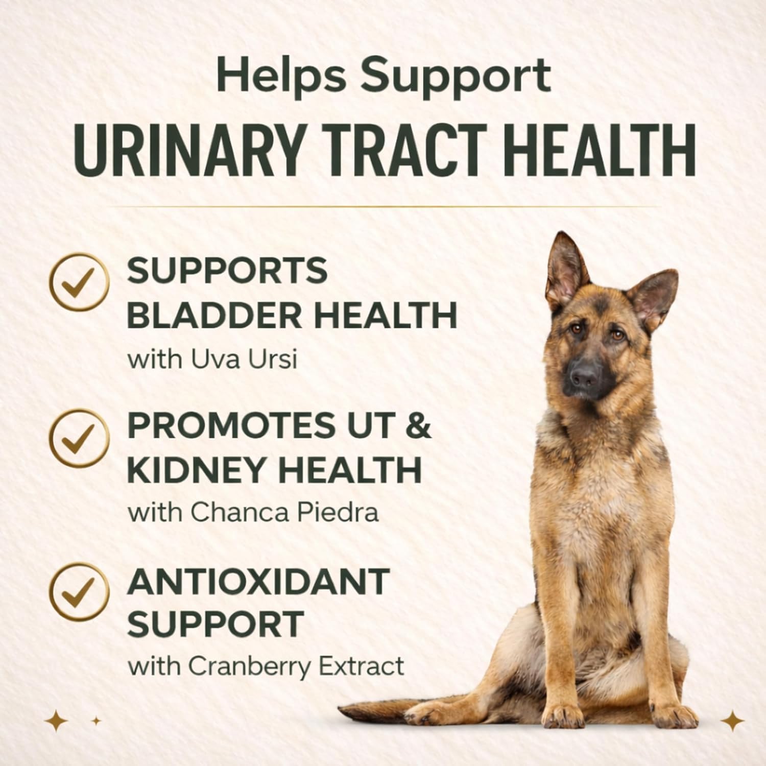 VETRISCIENCE UT Health – extrait de Uva Ursi pour le soutien urinaire.