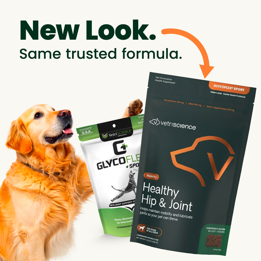 VetriScience GlycoFlex – chews-poulet pour chien, goût apprécié et mobilité potentielle.