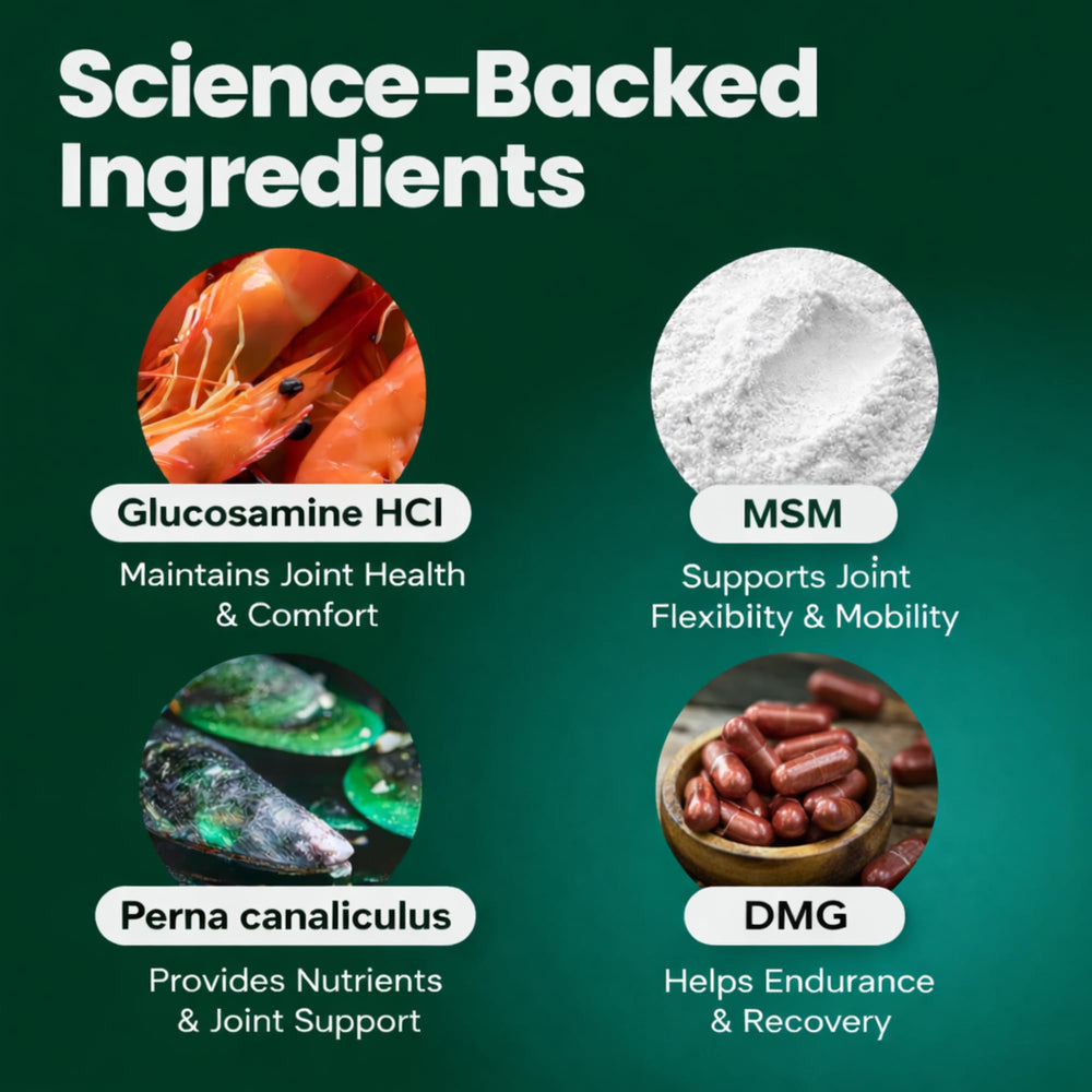 VetriScience GlycoFlex – glucosamine: confort des articulations du chien pendant l'effort.