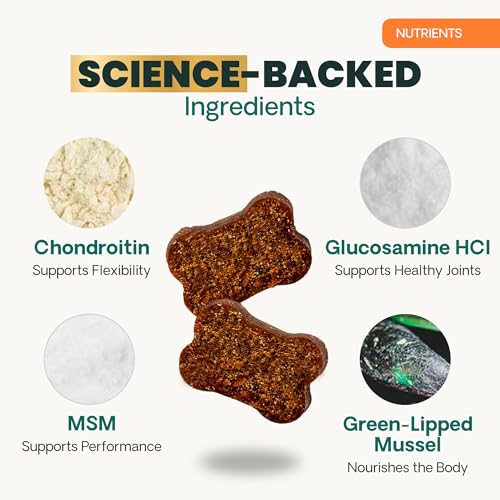 VetriScience GlycoFlex glucosamine et chondroïtine — soutien des articulations.