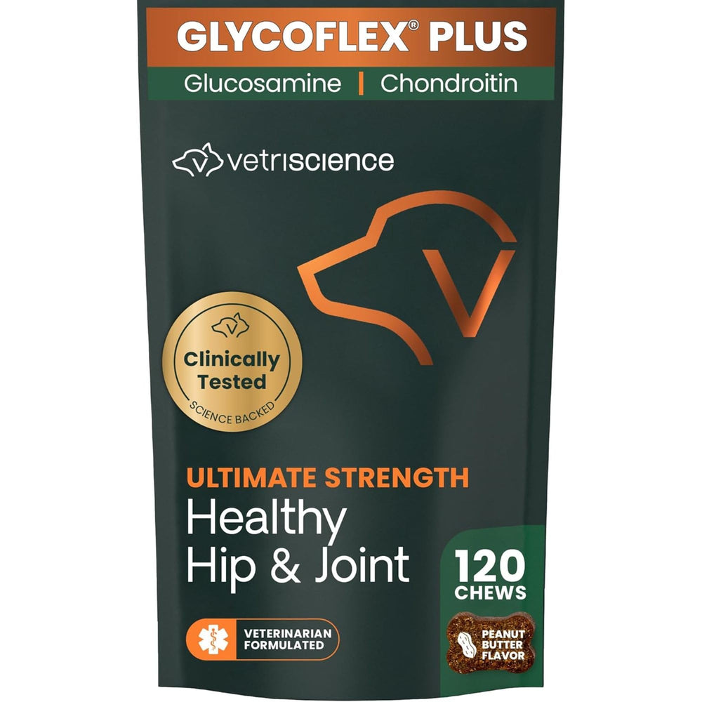 GlycoFlex Plus en bouteille VetriScience, soutien potentiel des articulations du chien.