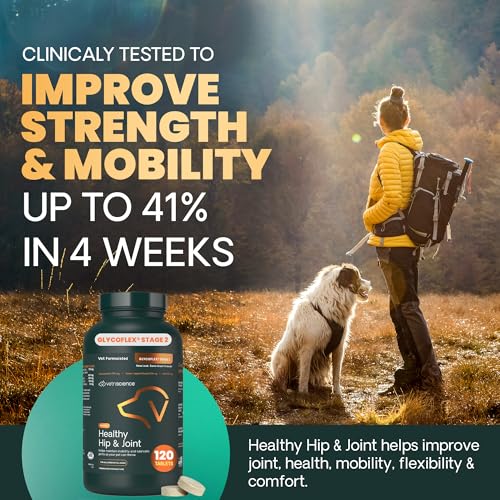 GlycoFlex 2 – bouchées chien saveur poulet, appétence et administration faciles.