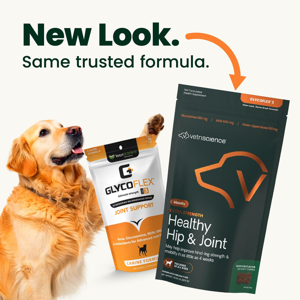 GlycoFlex 3 VetriScience — bouchées au poulet, prise facile pour chiens.