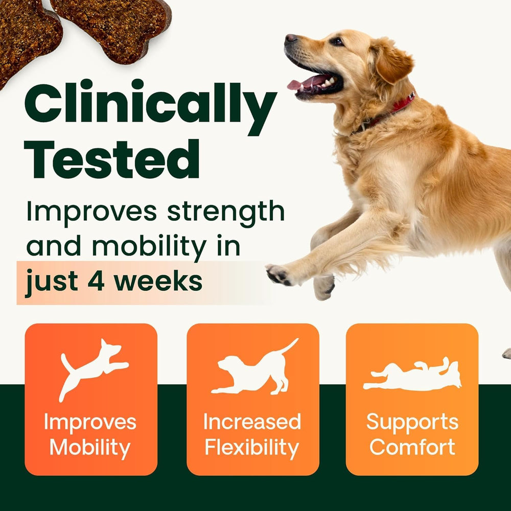 GlycoFlex 3: glucosamine, MSM et nutriments clés pour joints solides