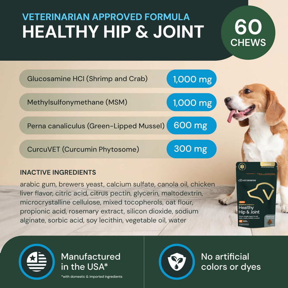 Gommes VetriScience flexibilité et mouvement pour chiens de grande taille.