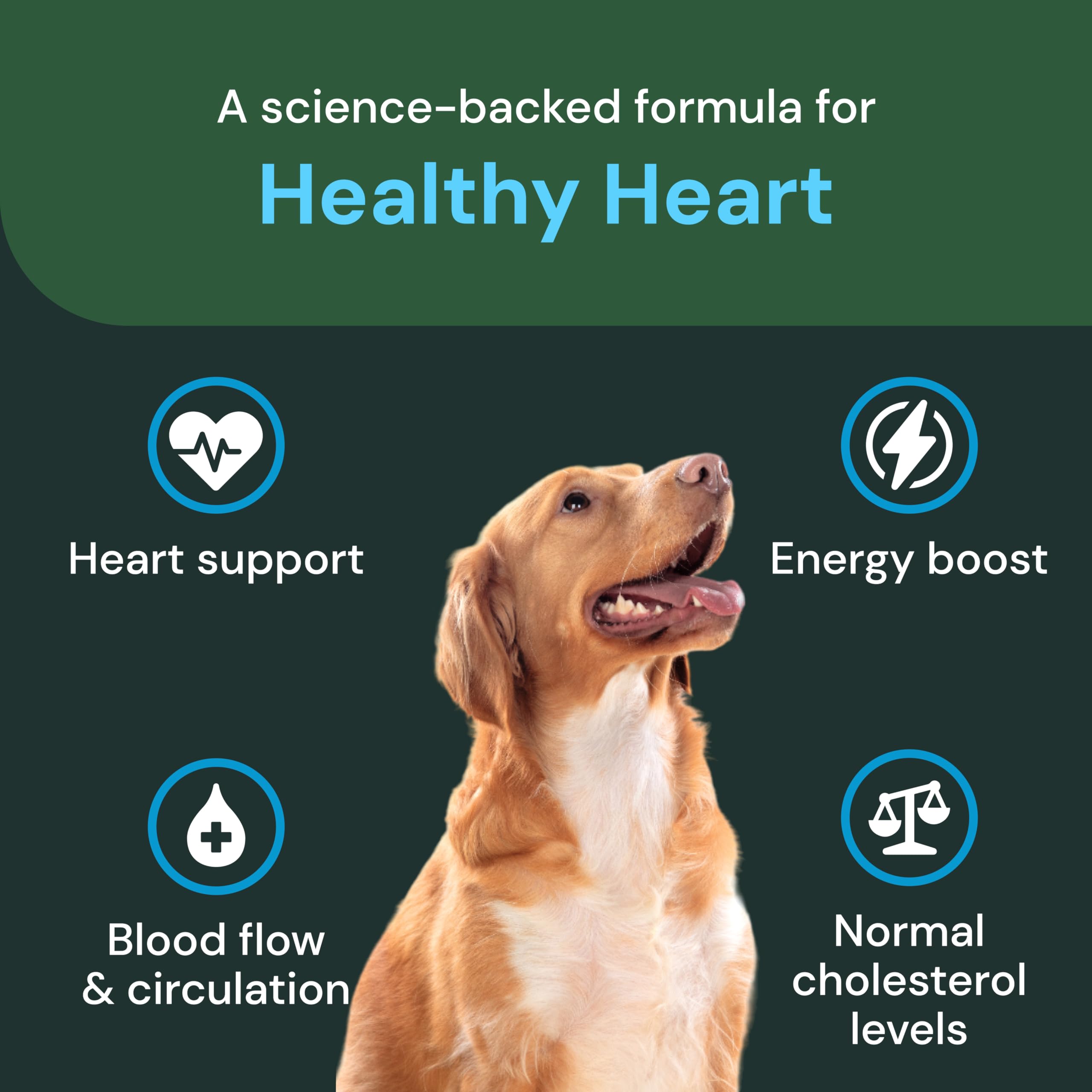 Gommes VetriScience pour chats: plaisir croquant et soutien cardio-potentiel.