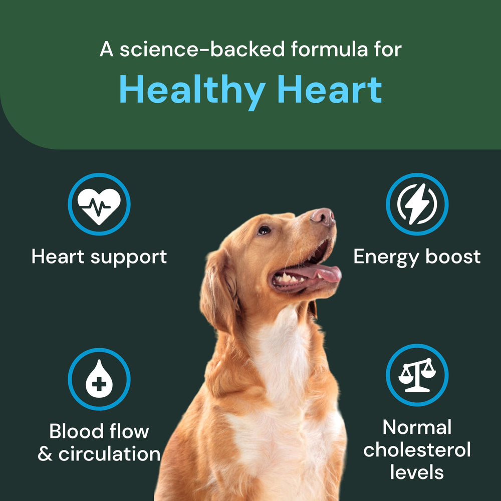 Gommes VetriScience pour chats: plaisir croquant et soutien cardio-potentiel.