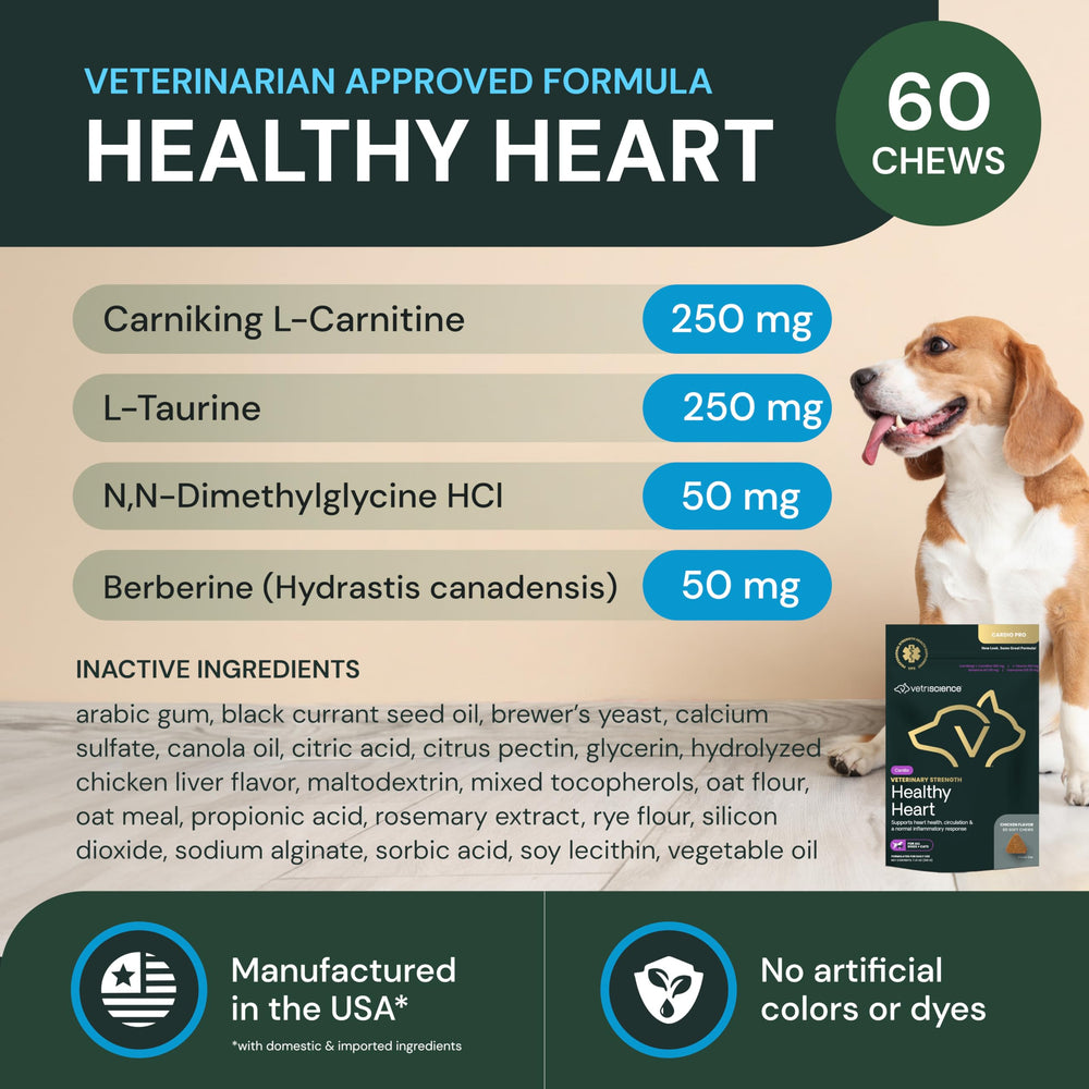 Gommes VetriScience pour chiens: soutien potentiel du cœur et énergie.