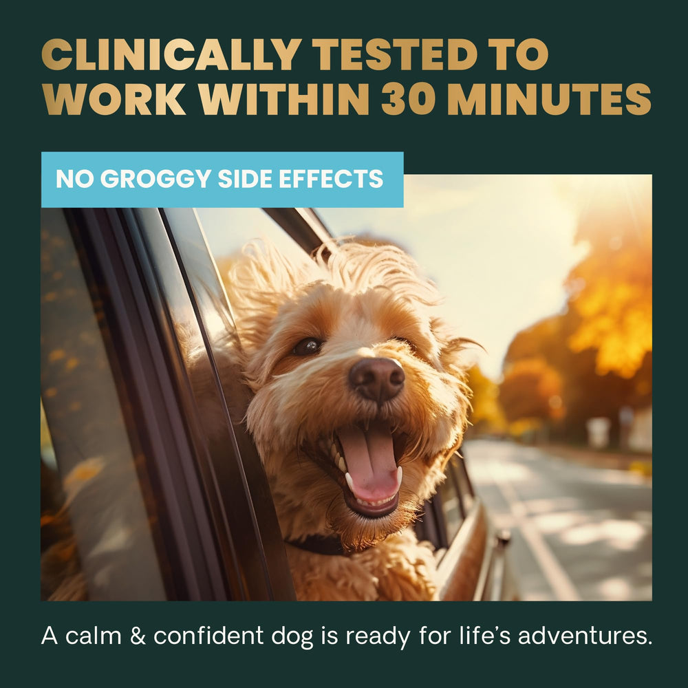 VETRISCIENCE Calm & Confident – goût poulet apprécié par les chiens.