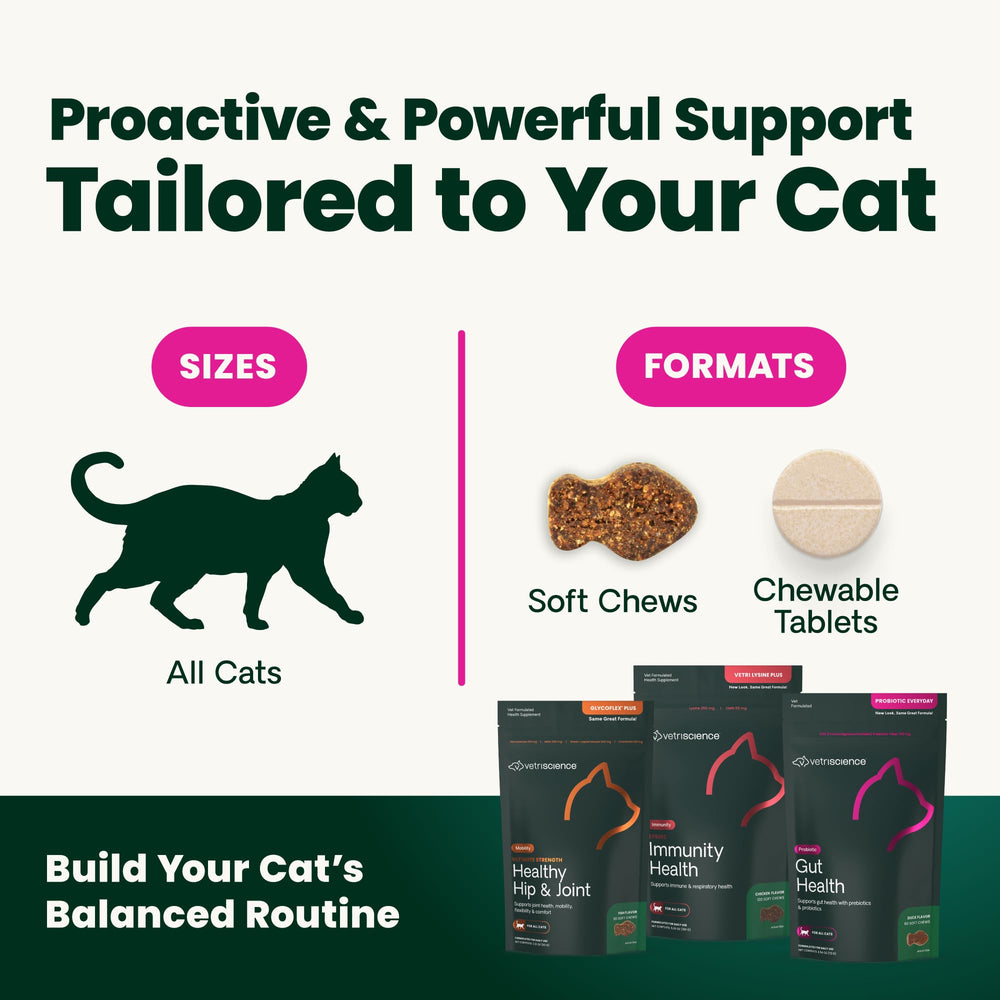 VetriScience Hairball Control – saveur foie de poulet plébiscitée par les chats.