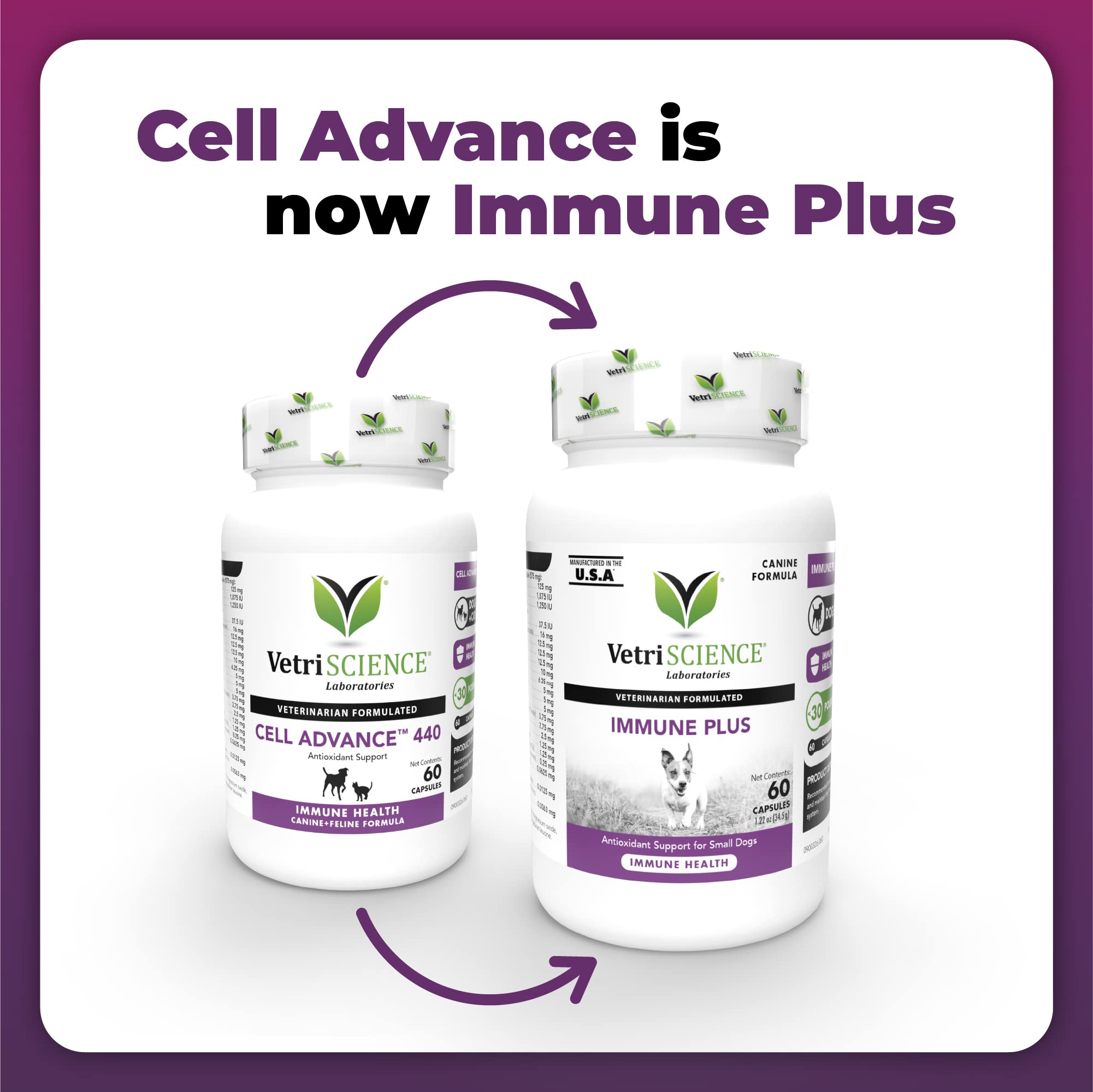 VetriScience Immunity Health: capsules faciles à ajouter lors du repas.