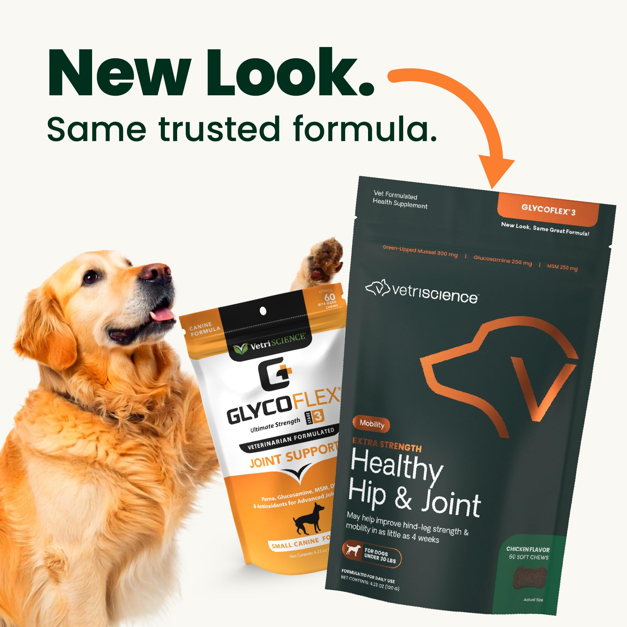 VETRISCIENCE ingrédients glucosamine et msm pour mobilité des chiens