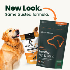 VETRISCIENCE ingrédients glucosamine et msm pour mobilité des chiens