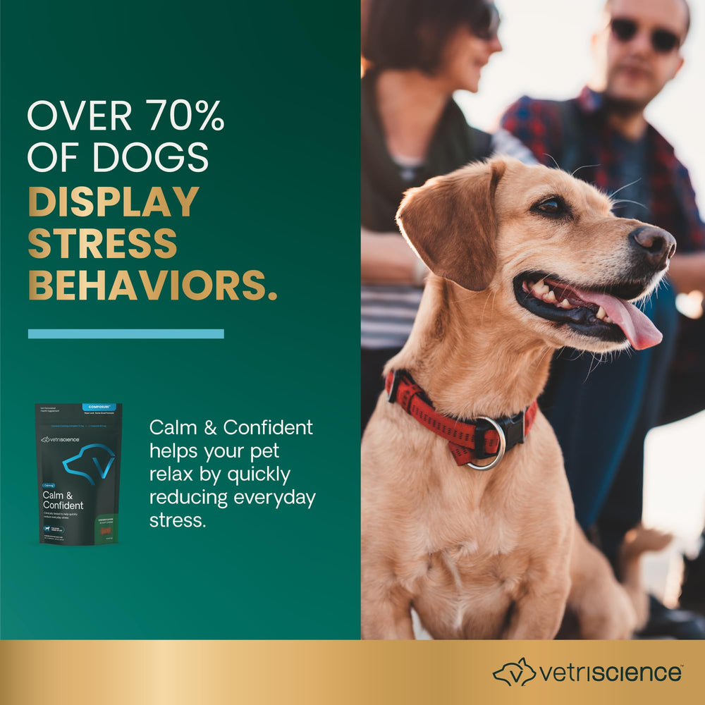 VETRISCIENCE Calm & Confident – ingrédients haute qualité pour chiens.