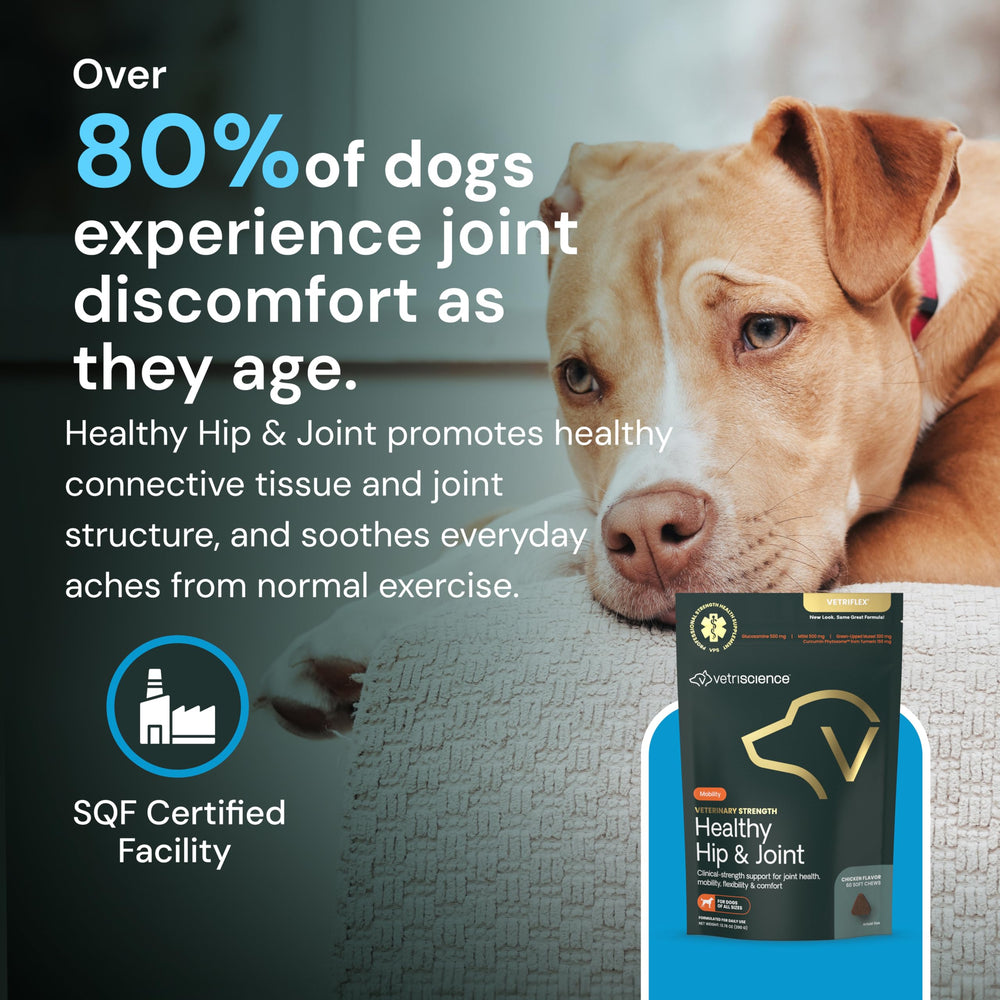 VETRISCIENCE Ingrédients de qualité et recherche scientifique au service des chiens.