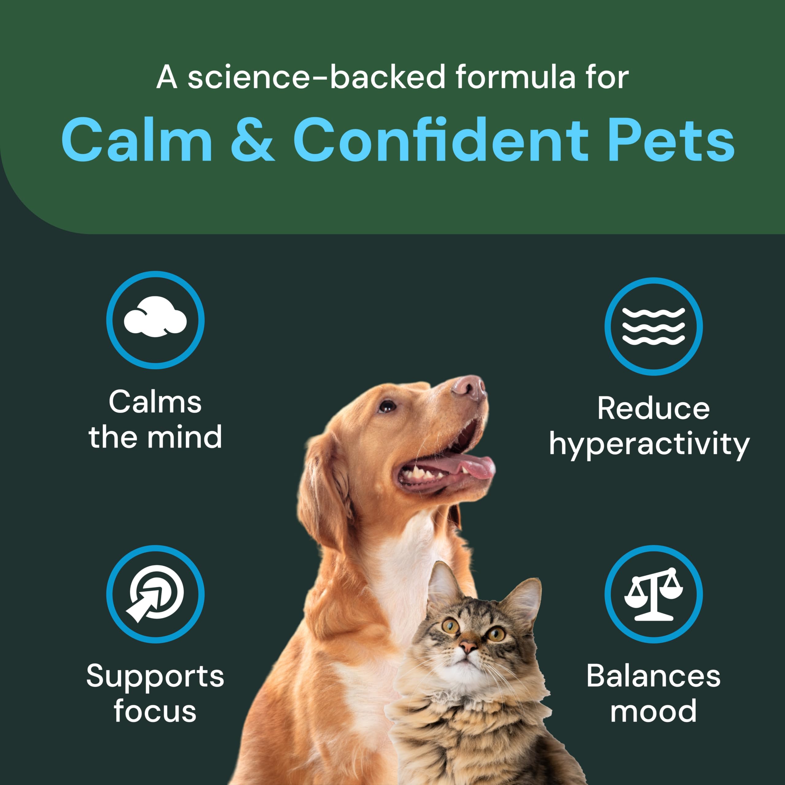 VetriScience ingrédients thiamine, soutien nerveux possible pour animaux