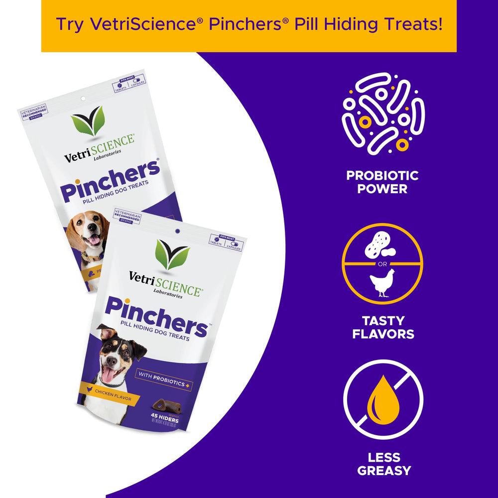 VetriScience Kidney Health emballage, preuve de qualité et usage quotidien.