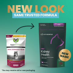 Gomme VetriScience Kidney Health avec Astragalus et DMG pour soutenir l’immunité et la circulation rénale.