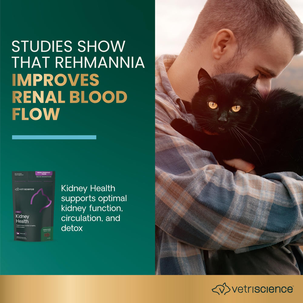 Texture friable des gommes VetriScience Kidney Health facilite l’ingestion par les chats.