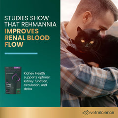 Texture friable des gommes VetriScience Kidney Health facilite l’ingestion par les chats.