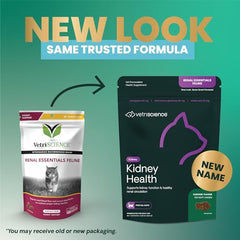 VetriScience Kidney Health: ingrédients Rehmannia visibles favorisant la circulation rénale.