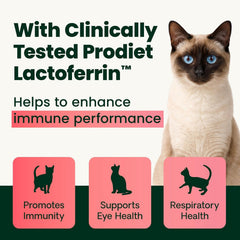 VetriScience L-lysine Immunité DMG: formulation triple-action.