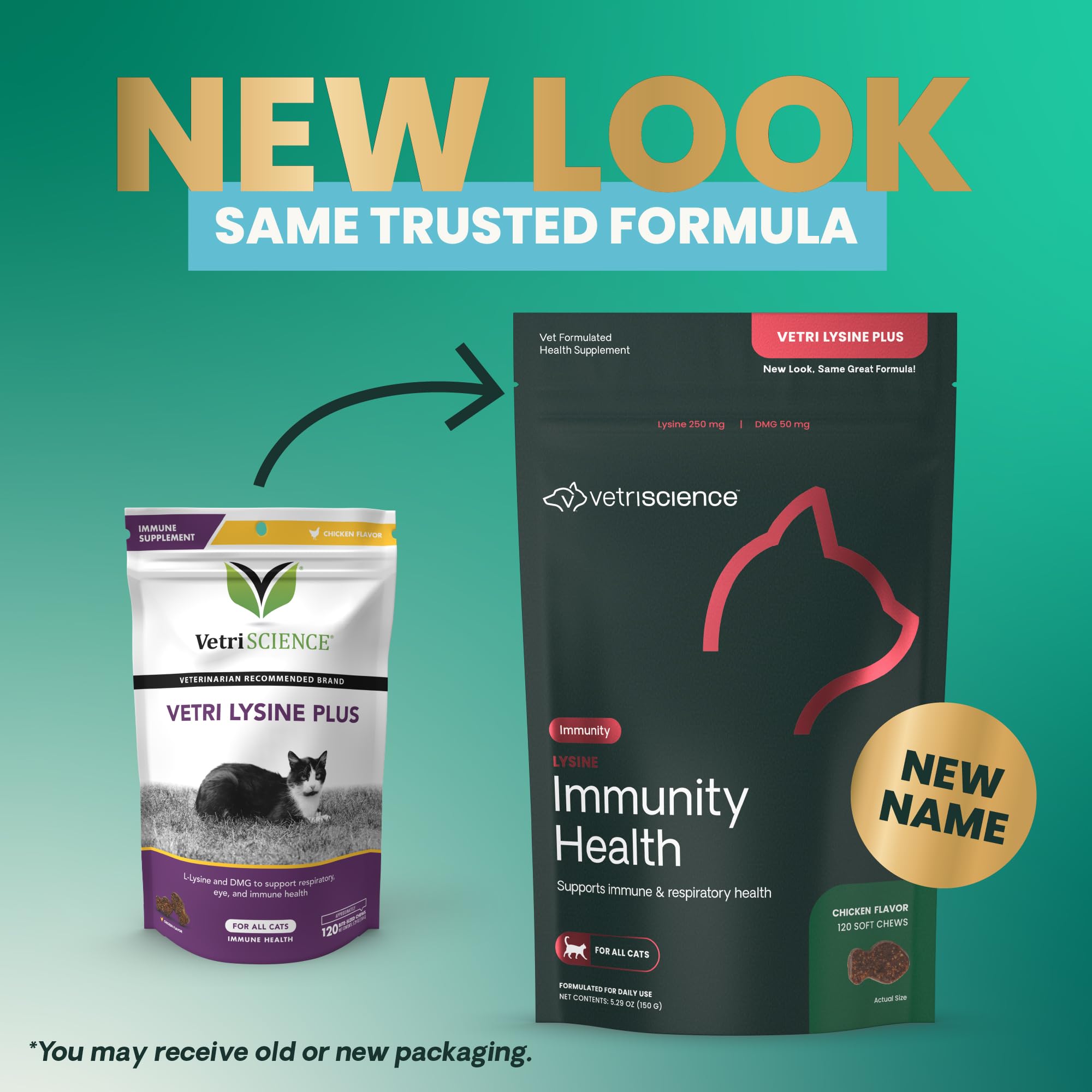 Boîte VetriScience Lysine Immunity Health affichant l’emballage et le nom du produit.