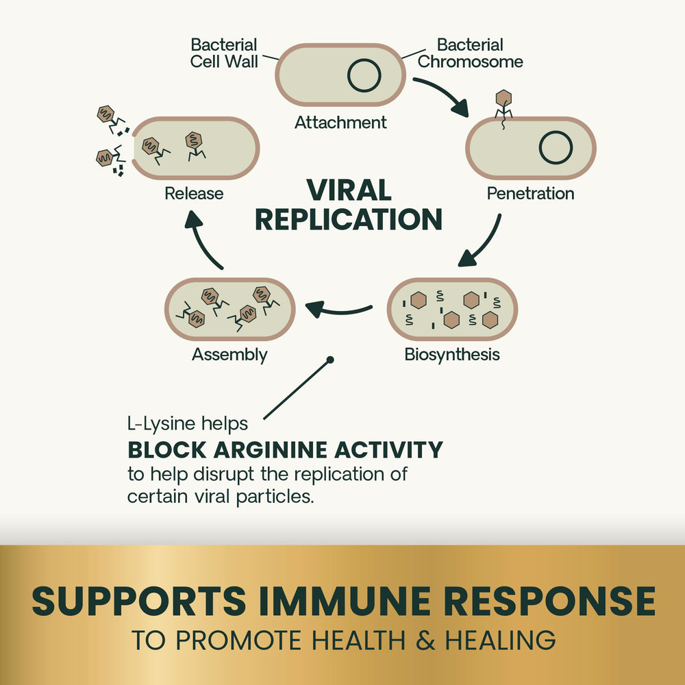Chat actionnant les friandises VetriScience Lysine Immunity Health.