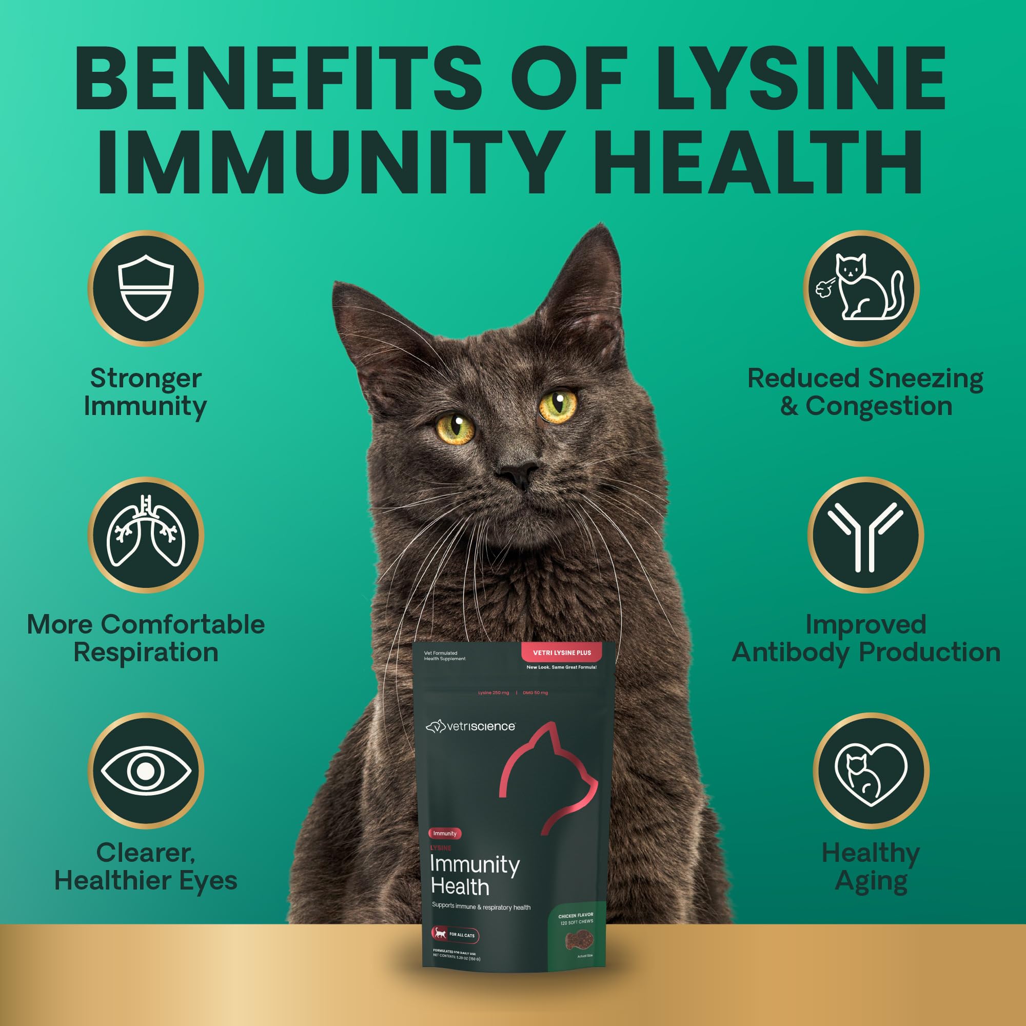 Étiquette indiquant 250 mg de L-lysine et DMG sur VetriScience Lysine Immunity Health.