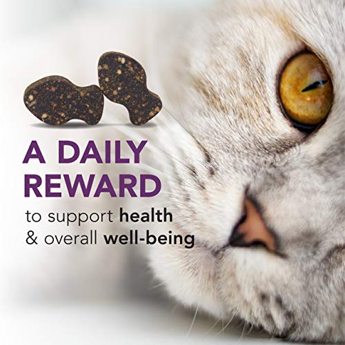Goût foie de poulet apprécié par les chats VetriScience Lysine Immunity.
