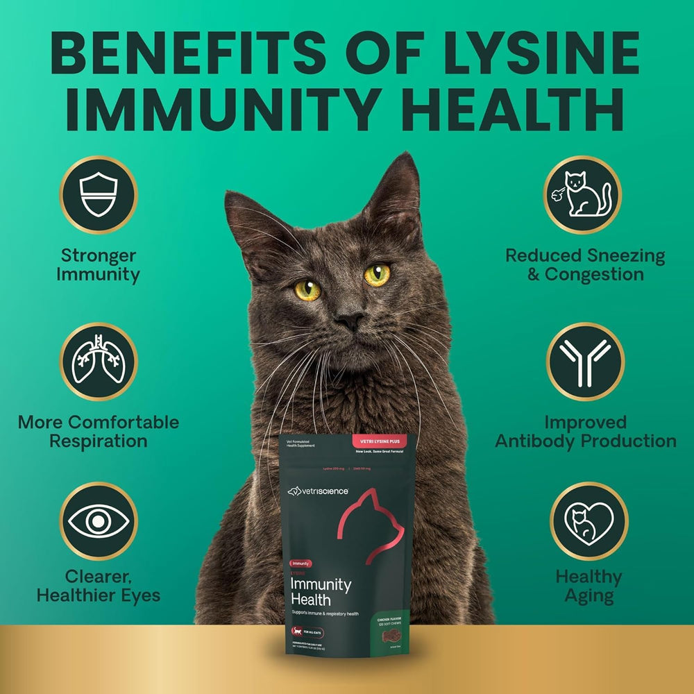 VetriScience Lysine Immunity Health – bouteille pratique, dosage simple pour chats de tous âges.