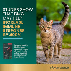 VetriScience Lysine Immunity Health – utilisé pour chaton, soutien immunitaire lors de croissance.