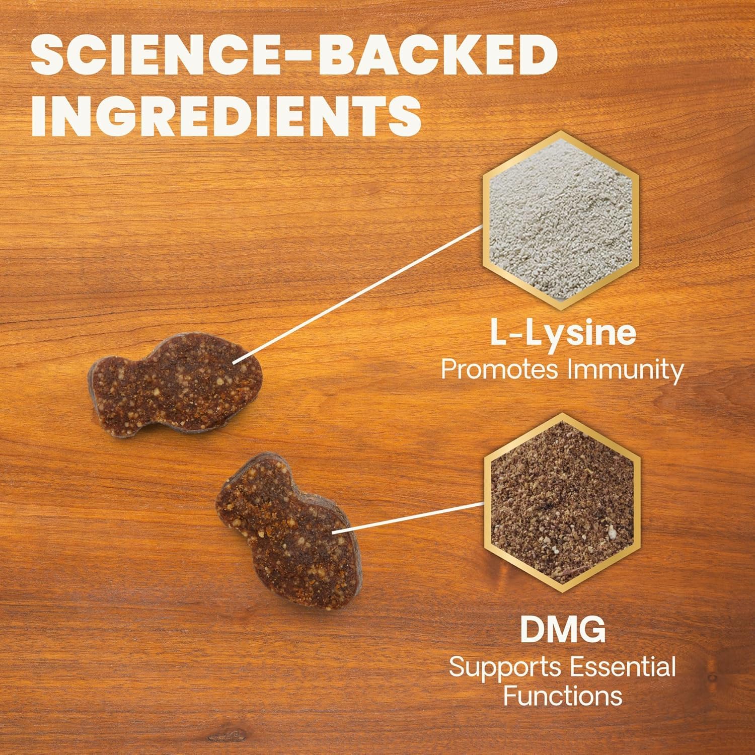 VetriScience Lysine Immunity Health – ingrédients de qualité, lysine et DMG pour l’immunité.