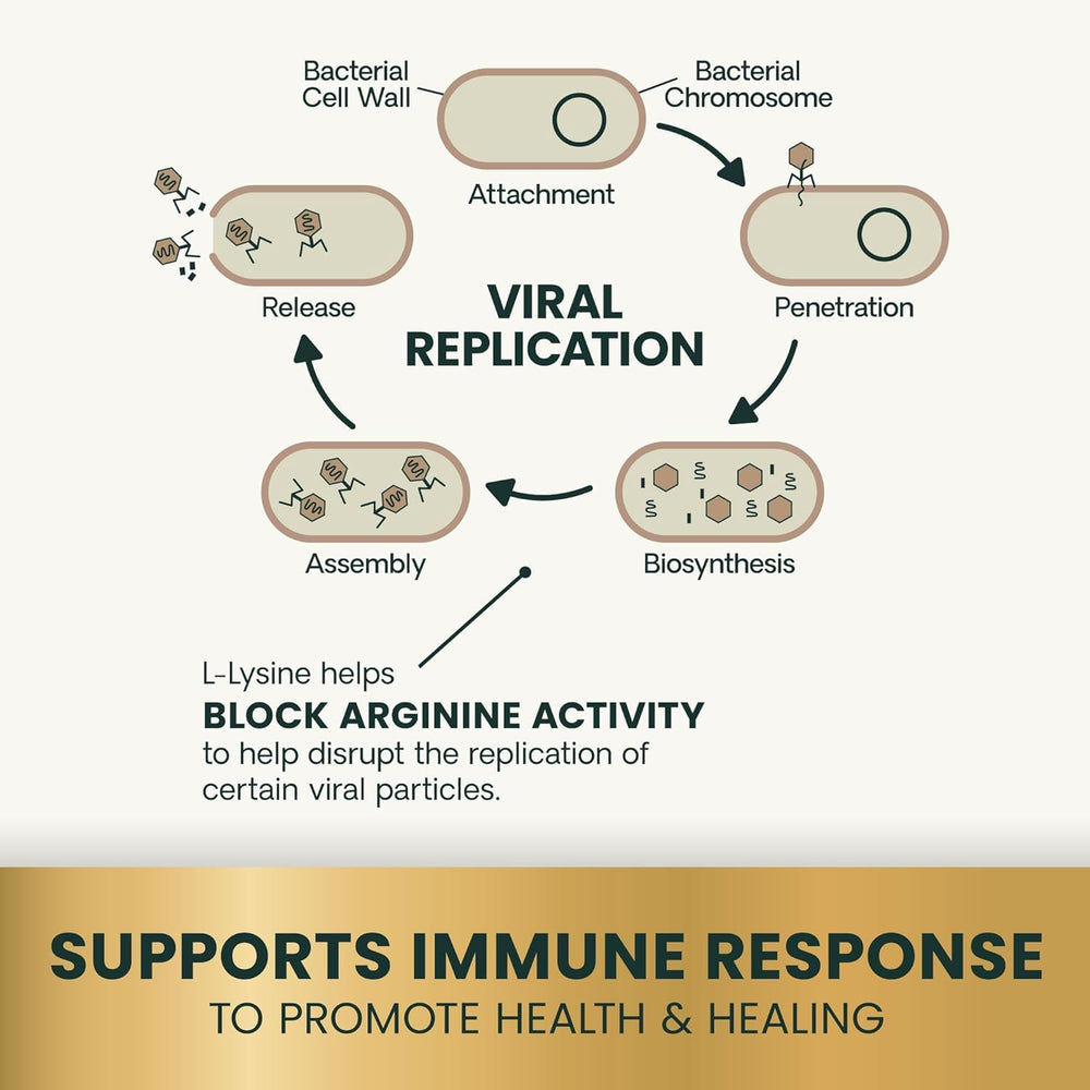 VetriScience Lysine Immunity Health – usage quotidien, convient à toutes les tailles de chat.