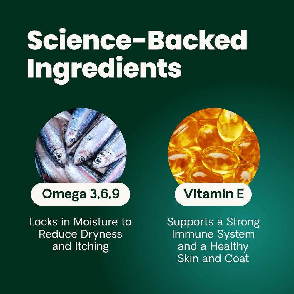 VETRISCIENCE Omega-cerveau-concentration-capsules: soutien potentiel des fonctions cognitives.