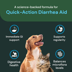 VetriScience Pâte Aide Diarrhée Occasionnelle, usage domestique, confort digestif.