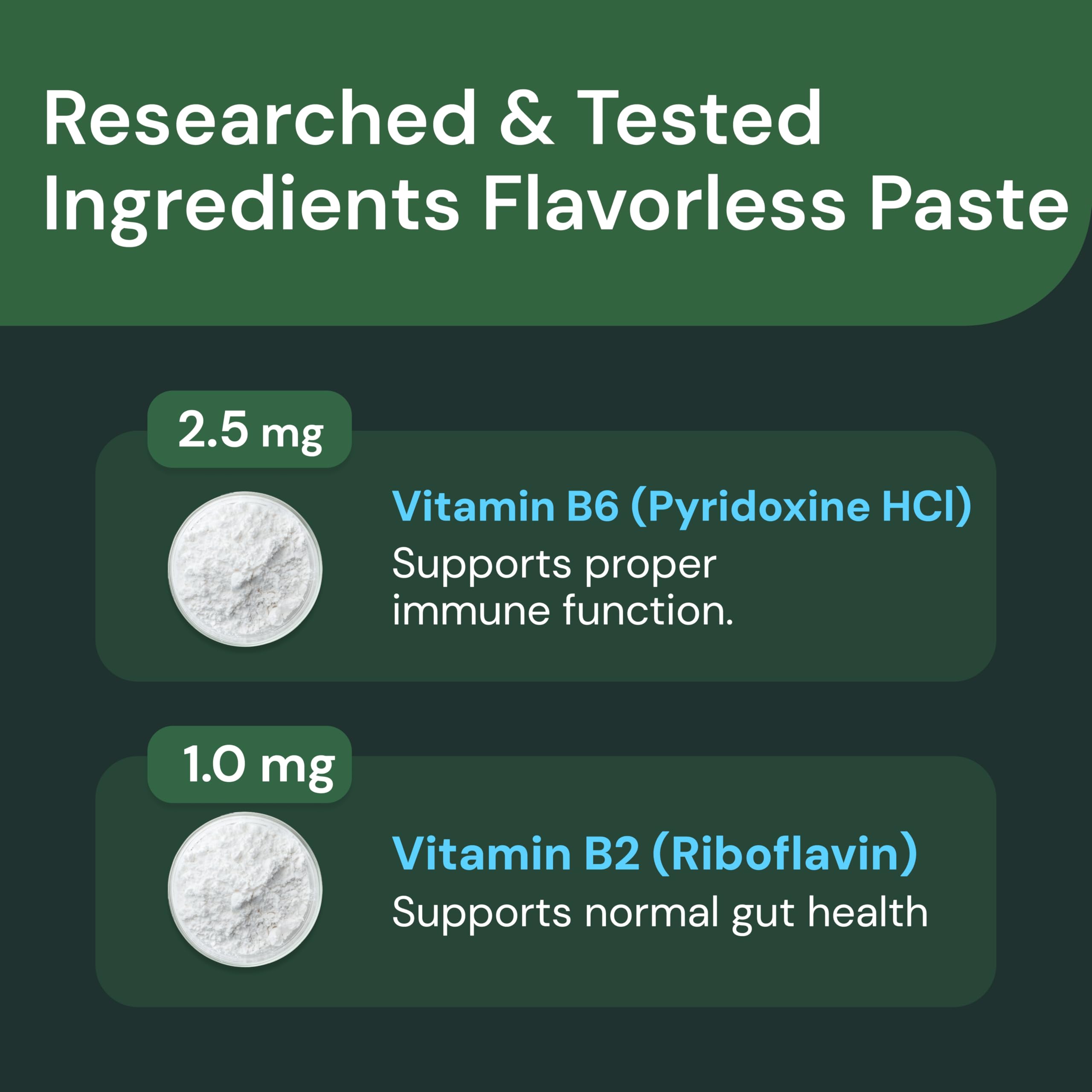 VetriScience Pâte Soutien Digestion Chiens Chats, usage quotidien.